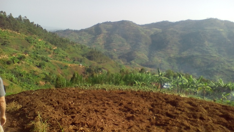 Western Rwandan Country Side